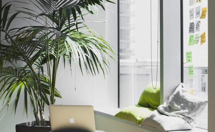 Kolejny dzień i kolejna nowość w Hrsys!