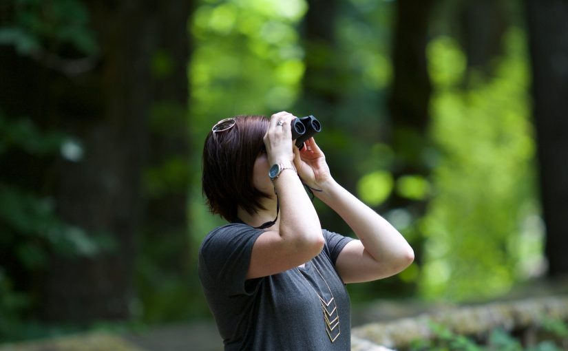 Karta kandydata i lista kandydatów